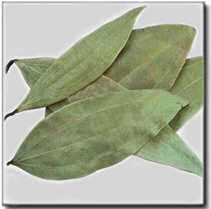 Picture of Tej Patta (Clean Bay Leaf) 25gm