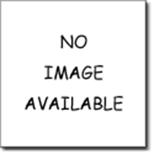 カナクアルファンソ100%マンゴパルプ 850gm の画像