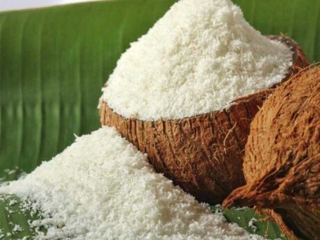 Coconut Fine