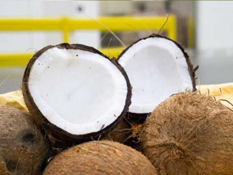 Coconut Fresh Indian