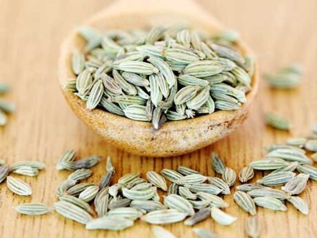 Fennel Seed 100g