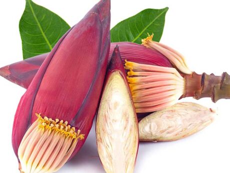 Fresh Banana Flower 1 pc