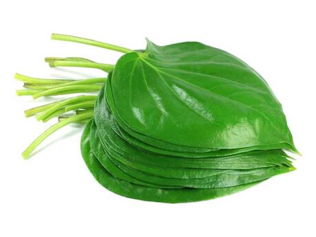 Fresh Betel leaf 5pc