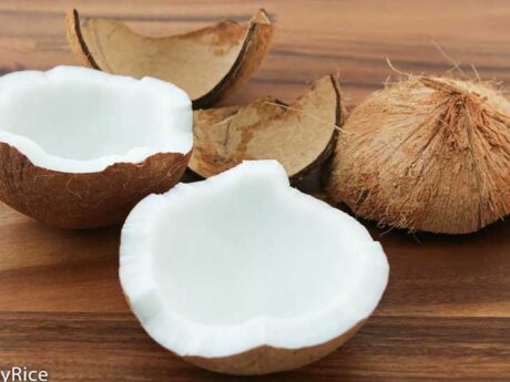 Fresh Coconut 1 Pc