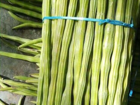 Fresh Drumstick 1 Pc