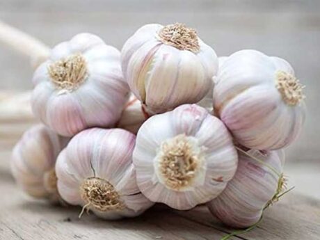 Fresh Garlic ( Indian ) 250gm