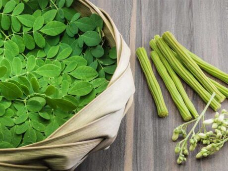 Fresh Moringa Leaf 1 Bunch