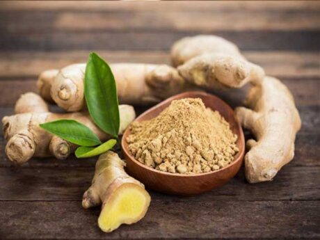 Ginger Powder 100g