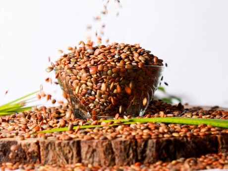 Horse Garam Beans, Gahat, Kulthi 500