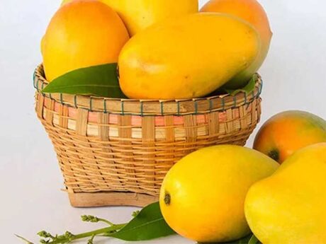 Kesar Mango ( 4-6 Pcs Box )