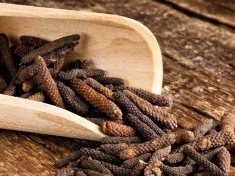 Long Pepper