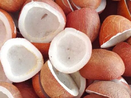 Coconut Half Cut Dry 2p