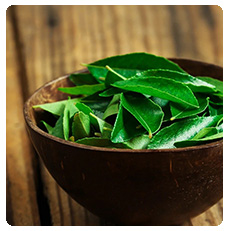 Herb