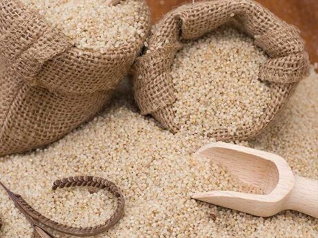 Little Millet 500g