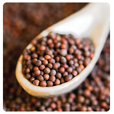 Spice Whole